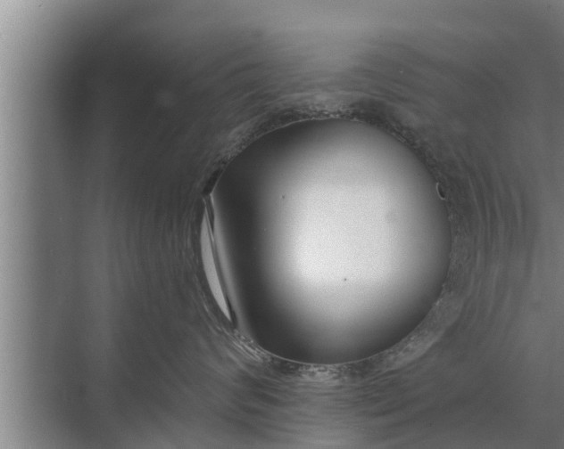 X0000072490624200607290041