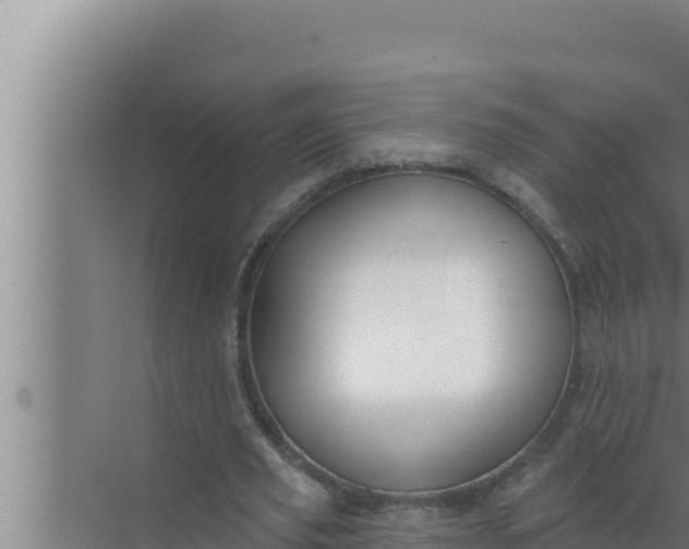 X0000072490629200607290040