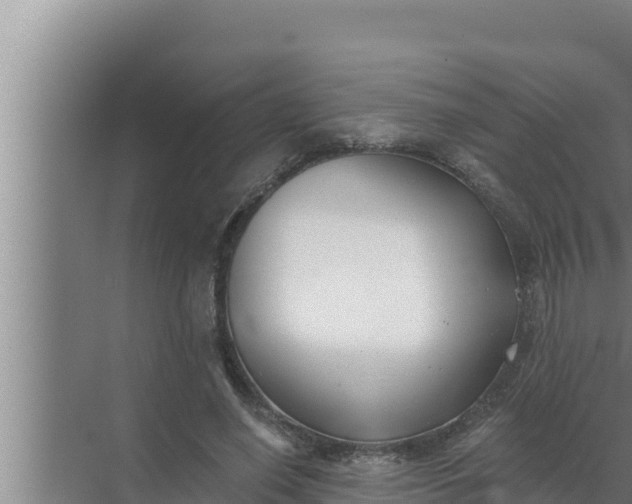 X0000072490638200607290041