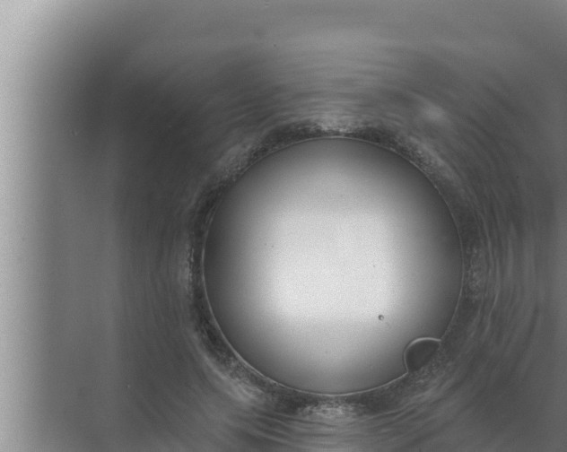 X0000072490639200607290041