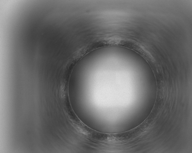 X0000072490641200607290041