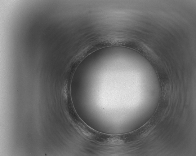 X0000072490644200607290041