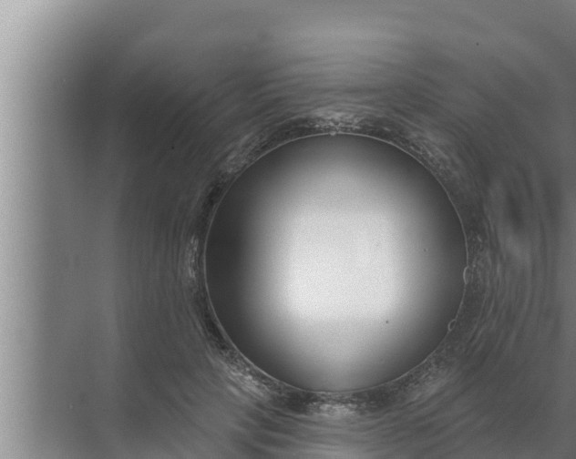 X0000072490649200607290041