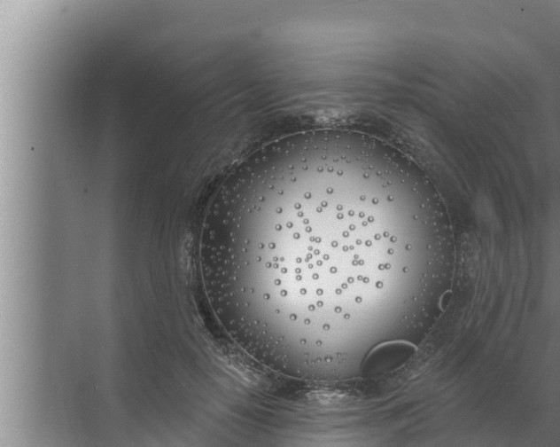 X0000072490650200607290041