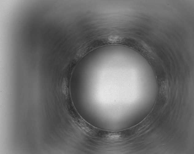 X0000072490651200607290041