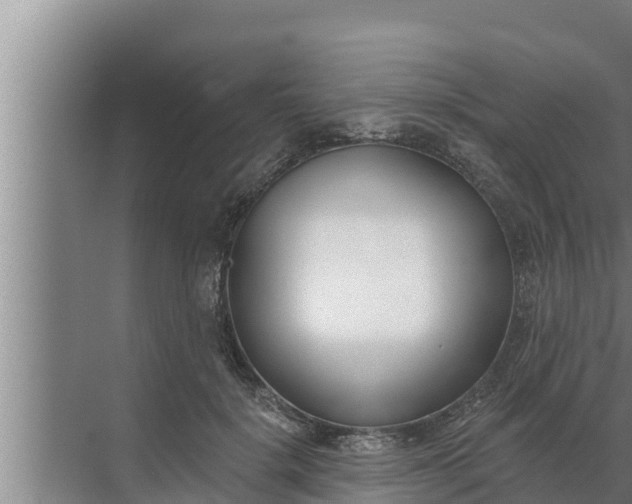 X0000072490652200607290041