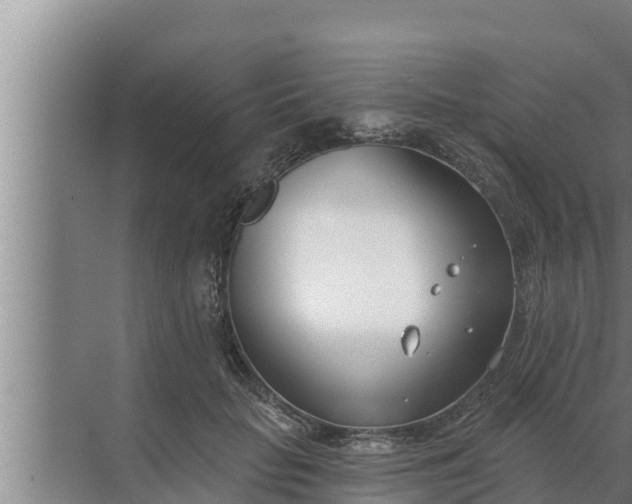 X0000072490653200607290041