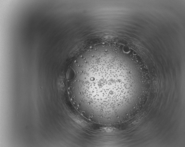 X0000072490654200607290041