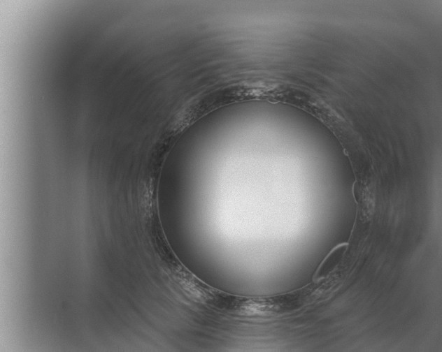 X0000072490657200607290041