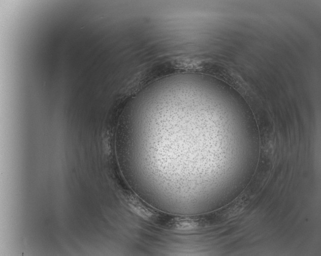 X0000072490658200607290041