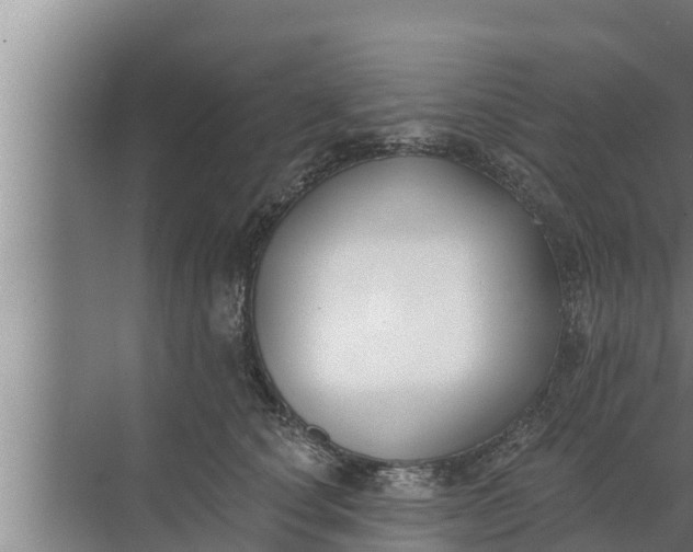 X0000072490660200607290041