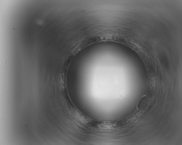 X0000072490661200607290041