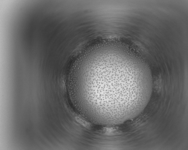 X0000072490662200607290041