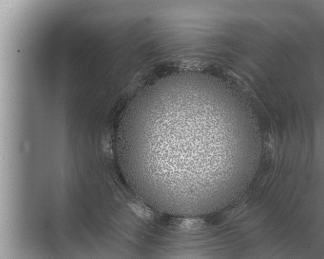 X0000072490663200607290041