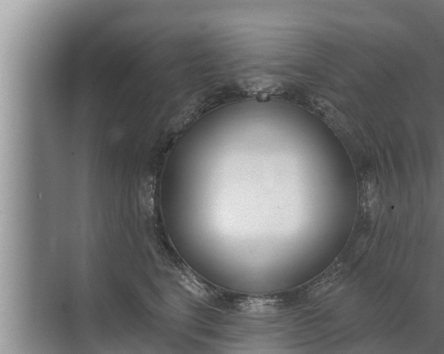 X0000072490664200607290041