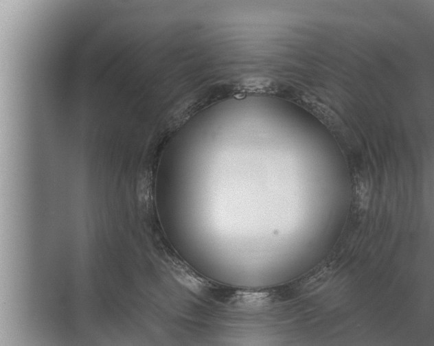 X0000072490665200607290041