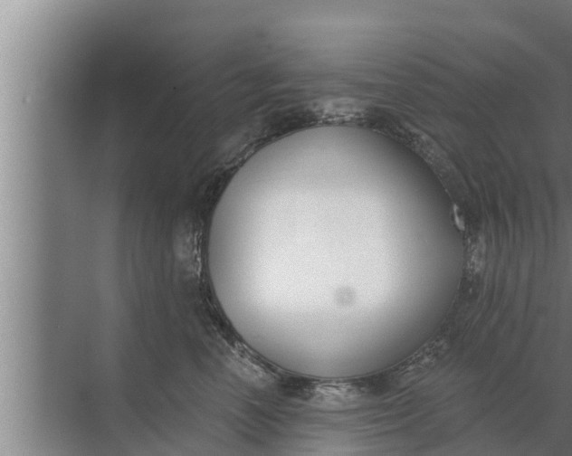 X0000072490666200607290041