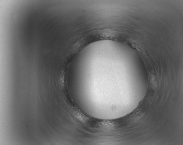 X0000072490668200607290041