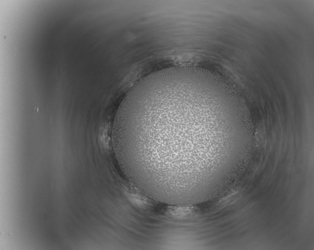 X0000072490671200607290041