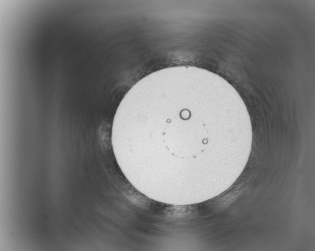 X0000072490672200607290041