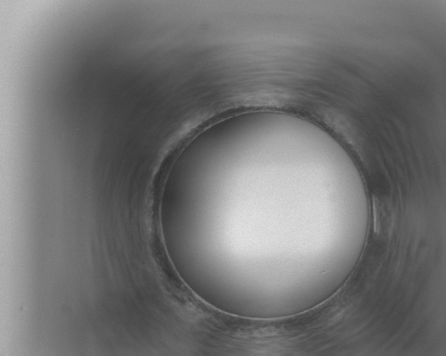 X0000072490675200607290040