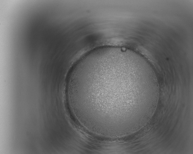 X0000072490679200607290040