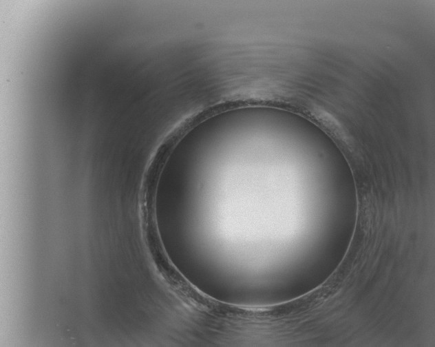 X0000072490680200607290040