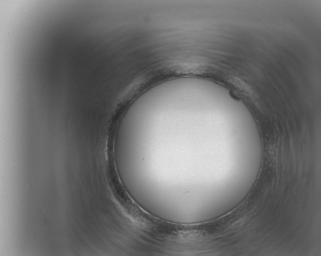 X0000072490686200607290040