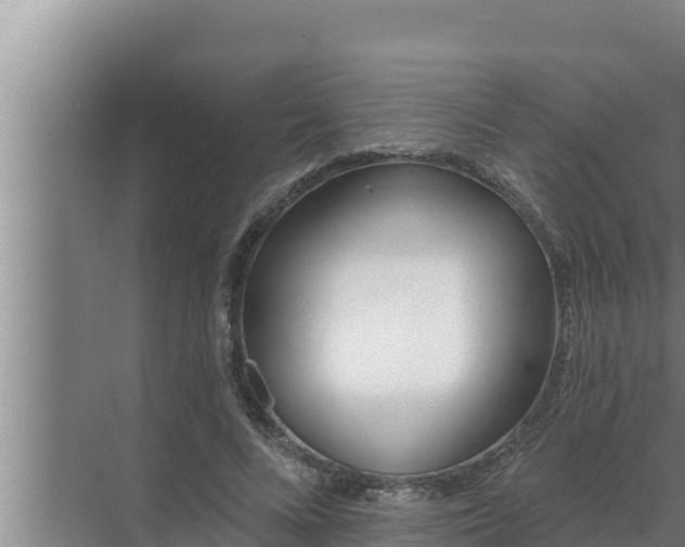 X0000072490688200607290040