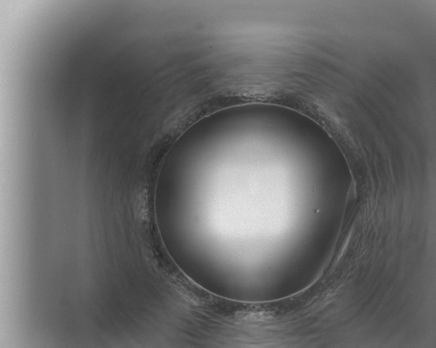 X0000072490689200607290040