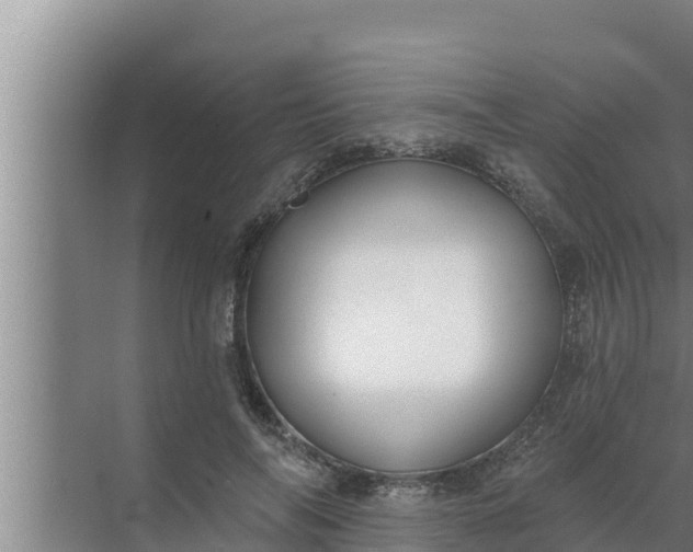 X0000072490694200607290040