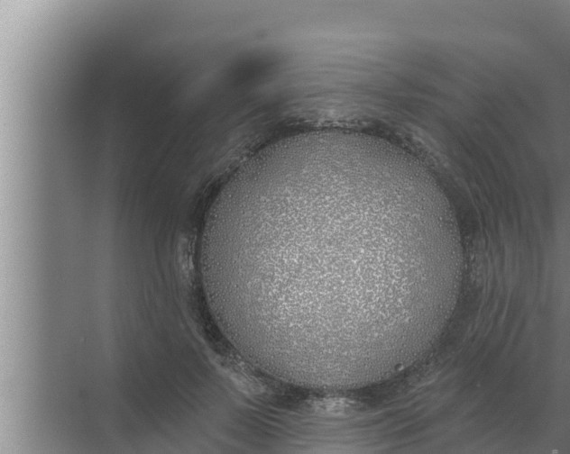 X0000072490695200607290040