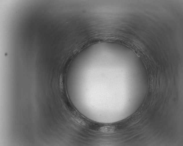 X0000072490700200607290040