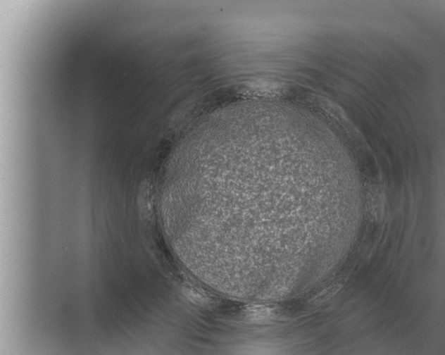 X0000072490701200607290040