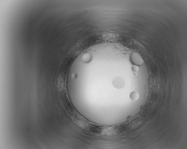 X0000072490705200607290040