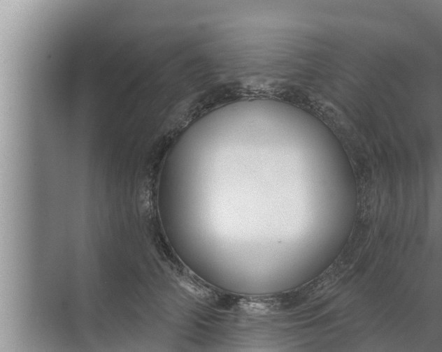 X0000072490706200607290040