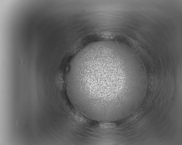 X0000072490707200607290040