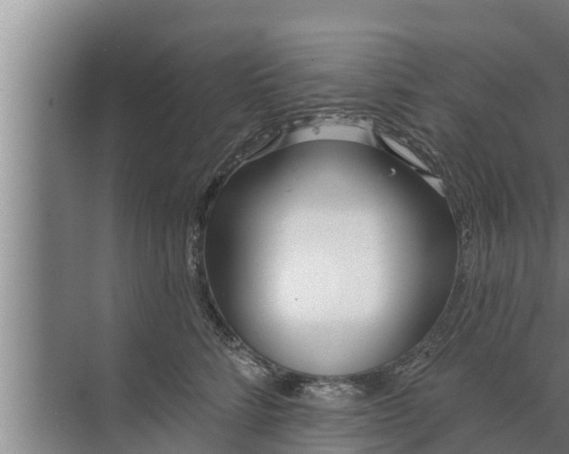 X0000072490712200607290040