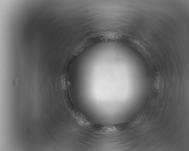 X0000072490715200607290040