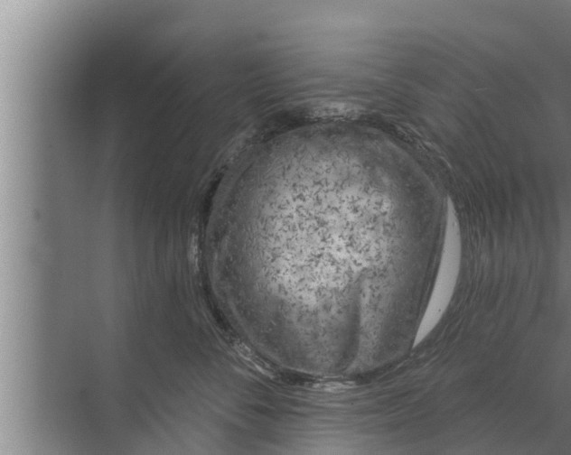 X0000072490716200607290040