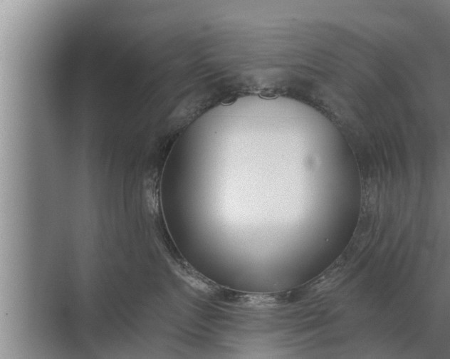 X0000072490719200607290040