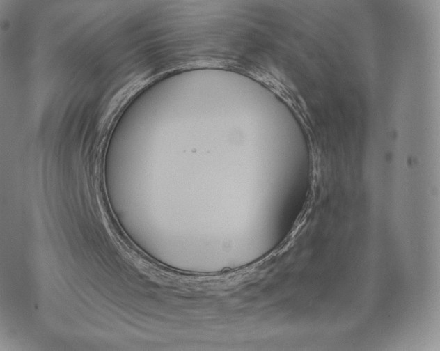 X0000072490001200608041428