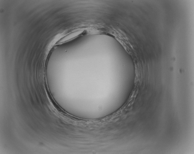 X0000072490003200608041428