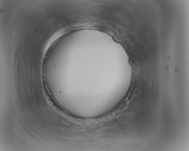 X0000072490006200608041427