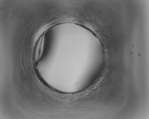 X0000072490007200608041427