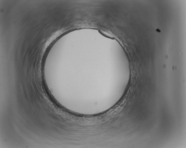 X0000072490008200608041427