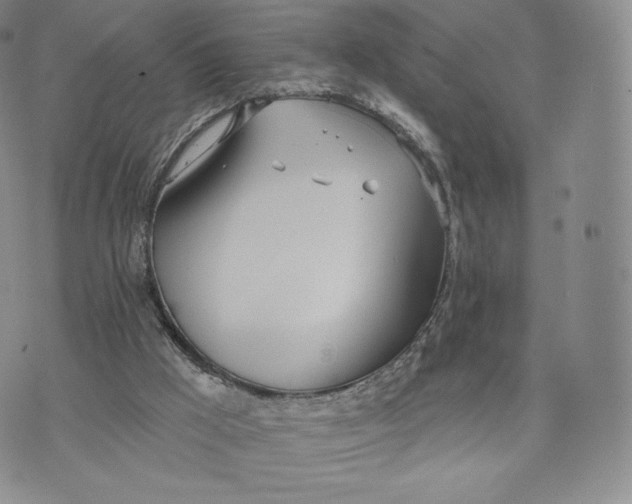 X0000072490009200608041427