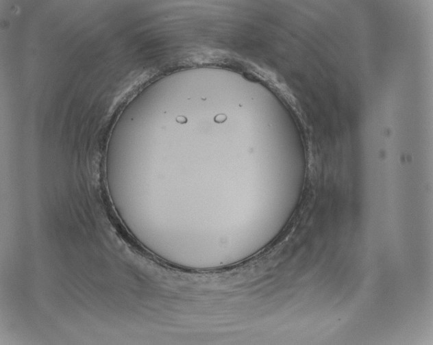 X0000072490010200608041427