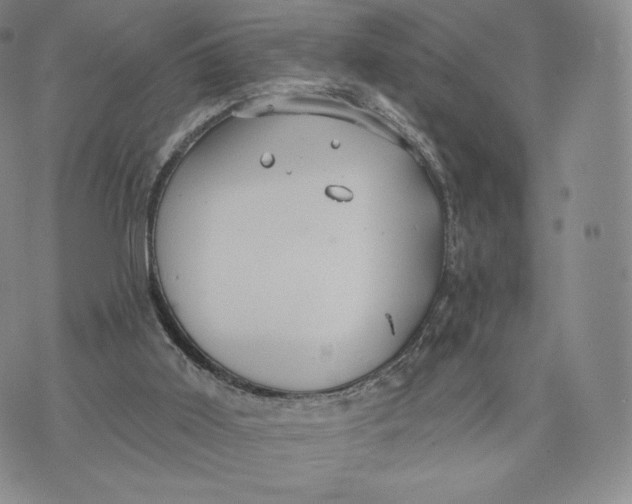 X0000072490011200608041427