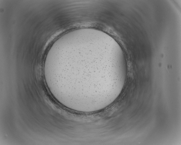 X0000072490012200608041427